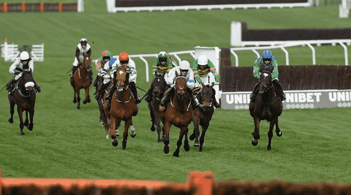 Cheltenham Festival 155/1 Acca