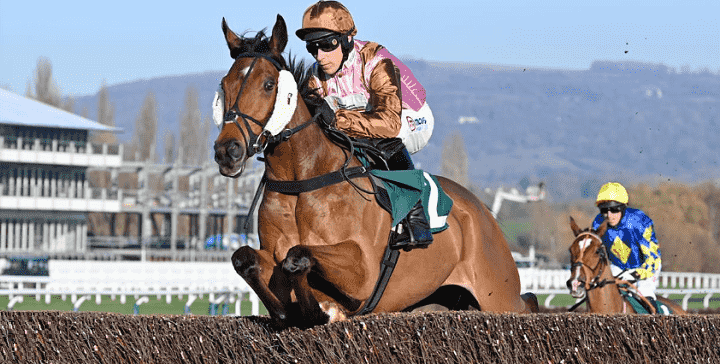 Cheltenham Christmas Meeting Best Bets