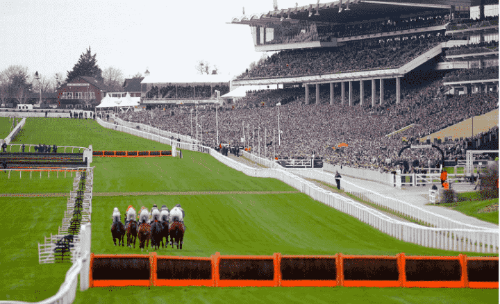 Cheltenham Day One Best Bets