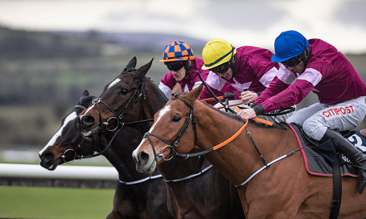 british horse racing authority authorised betting partner