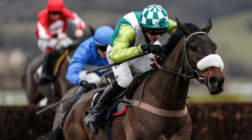 betfair chase horse race