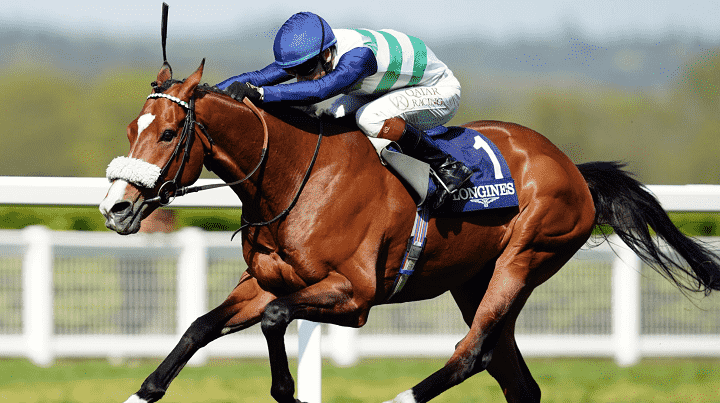 Royal Ascot: Gold Cup Betting Preview