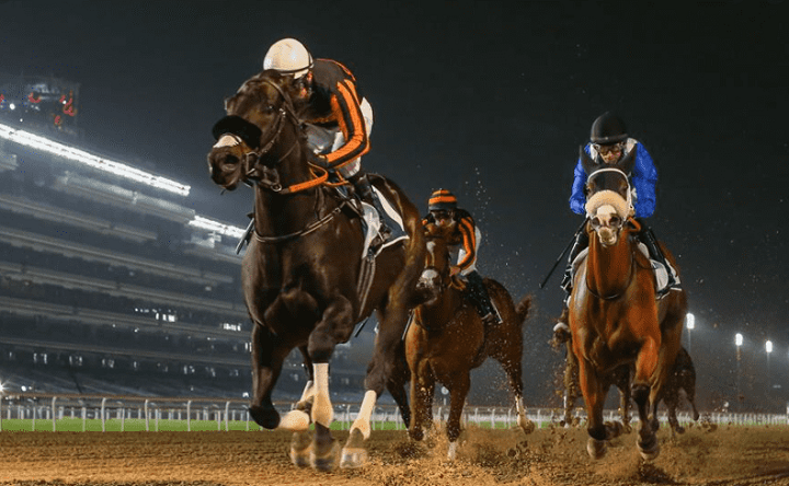 Dubai World Cup 2021 Preview