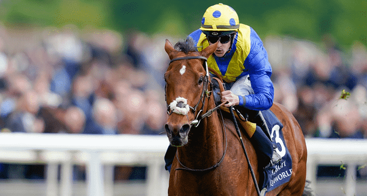Derby Preview and Best Bets
