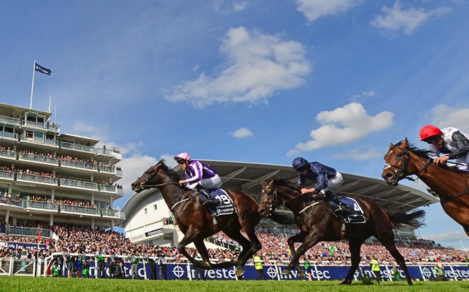 Betting on Horse Racing Betting on Horse Racing