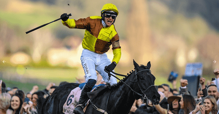 Galopin Des Champs Cheltenham Festival