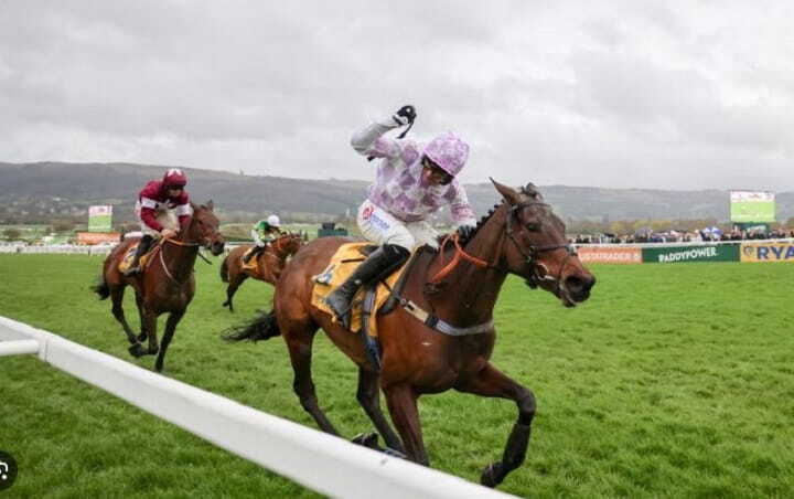 Golden Ace Cheltenham Festival 2026