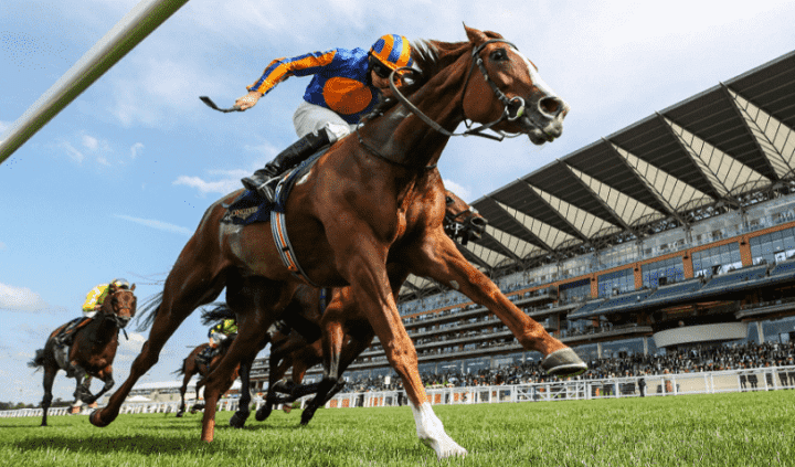 Ascot King George Preview