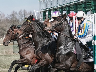 horse racing start horse racing start