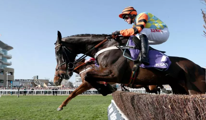 Rouge Vif Racehorse