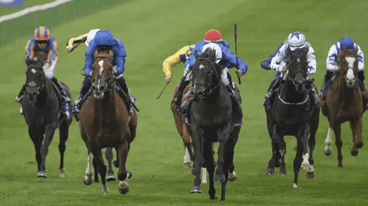 Royal Ascot Betting Tips