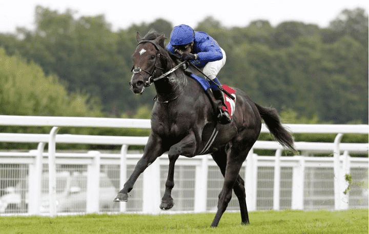 Ruling Court racehorse
