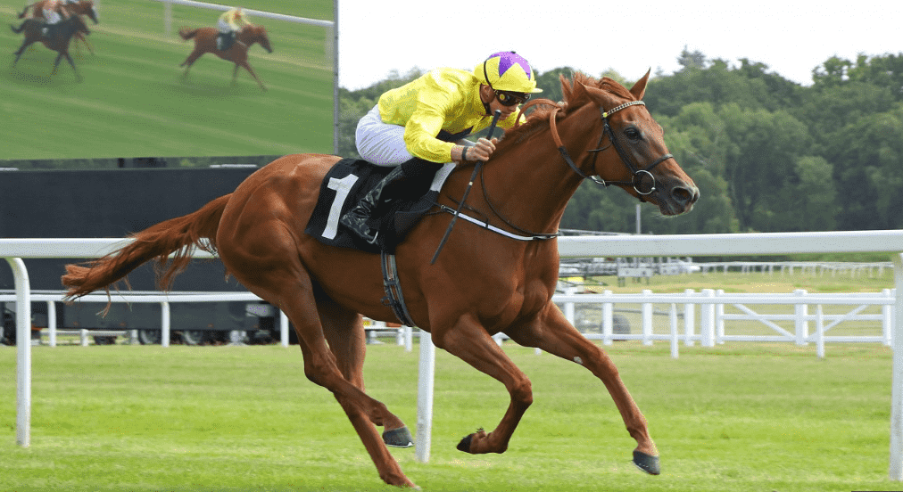 Sea of Class Race Horse