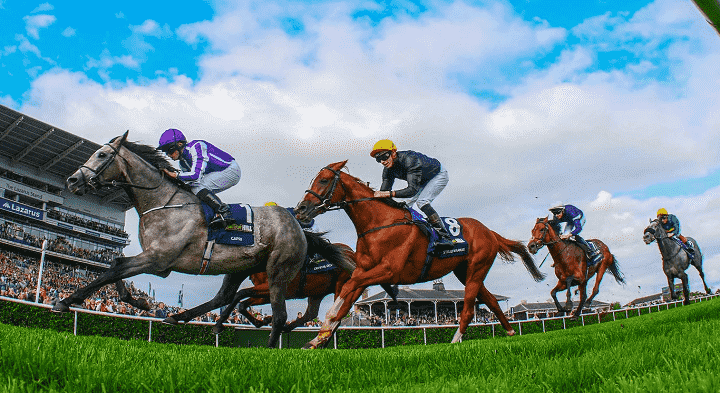 Doncaster St. Leger Meeting: Best Bets