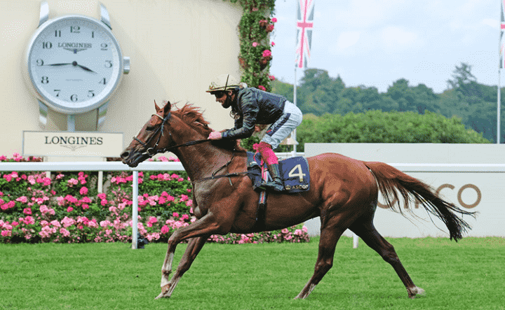 Royal Ascot 2022 tips