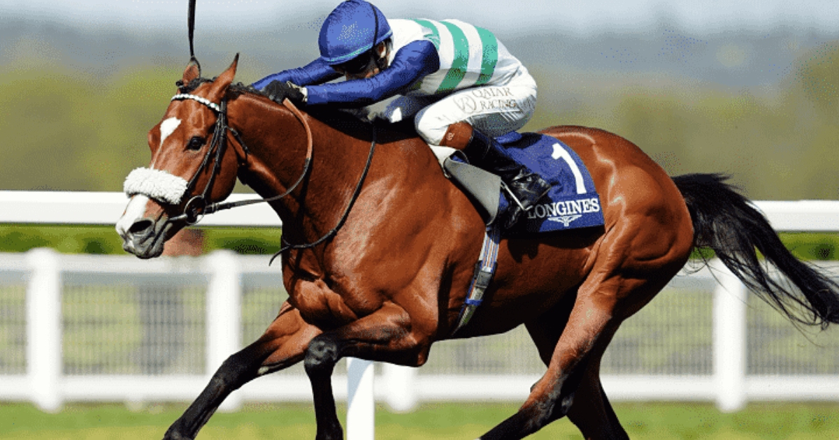, Royal Bet Din Ultimative Spiloplevelse 2096284468, FRANCISCO CHENOLL MORA