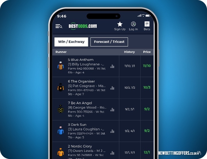 BestOdds Racing Betting