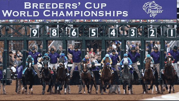 Breeders Cup betting