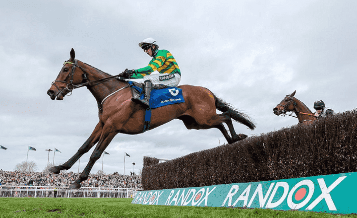 inothewayurthinkin racehorse cheltenham